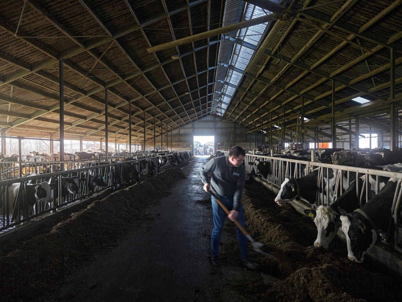 Melkveehouder Gert van Adrichem uit Fijnaart heeft in zijn stal een Lely Sphere-installatie waarmee ammoniakemissie wordt omgezet in bruikbare meststof.