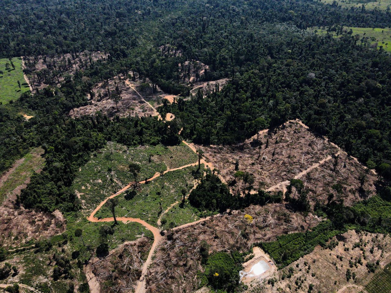 Een dronefoto waarop ontbossing te zien is in het Amazonewoud in Brazilië.