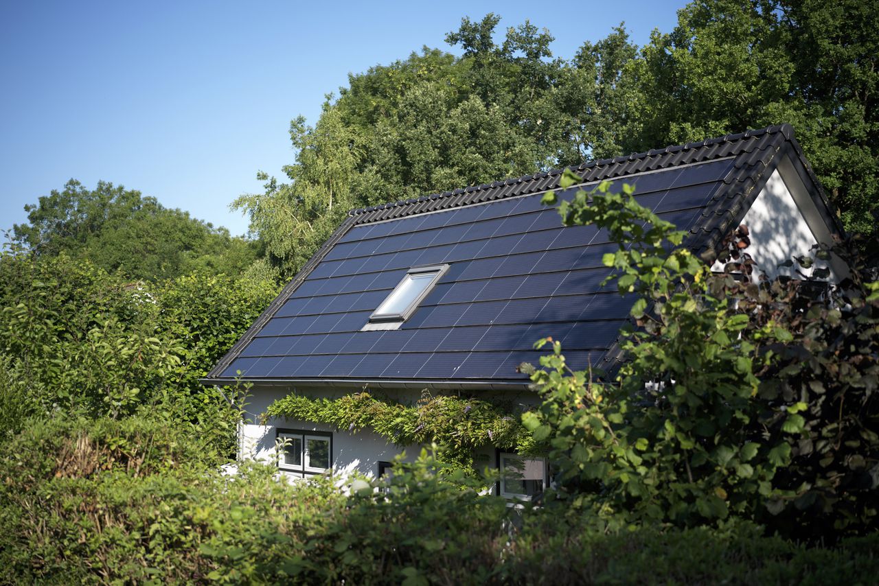 Volgens eigenaren van zonnepanelen leveren die veel minder op als ze in de schaduw van bomen komen.