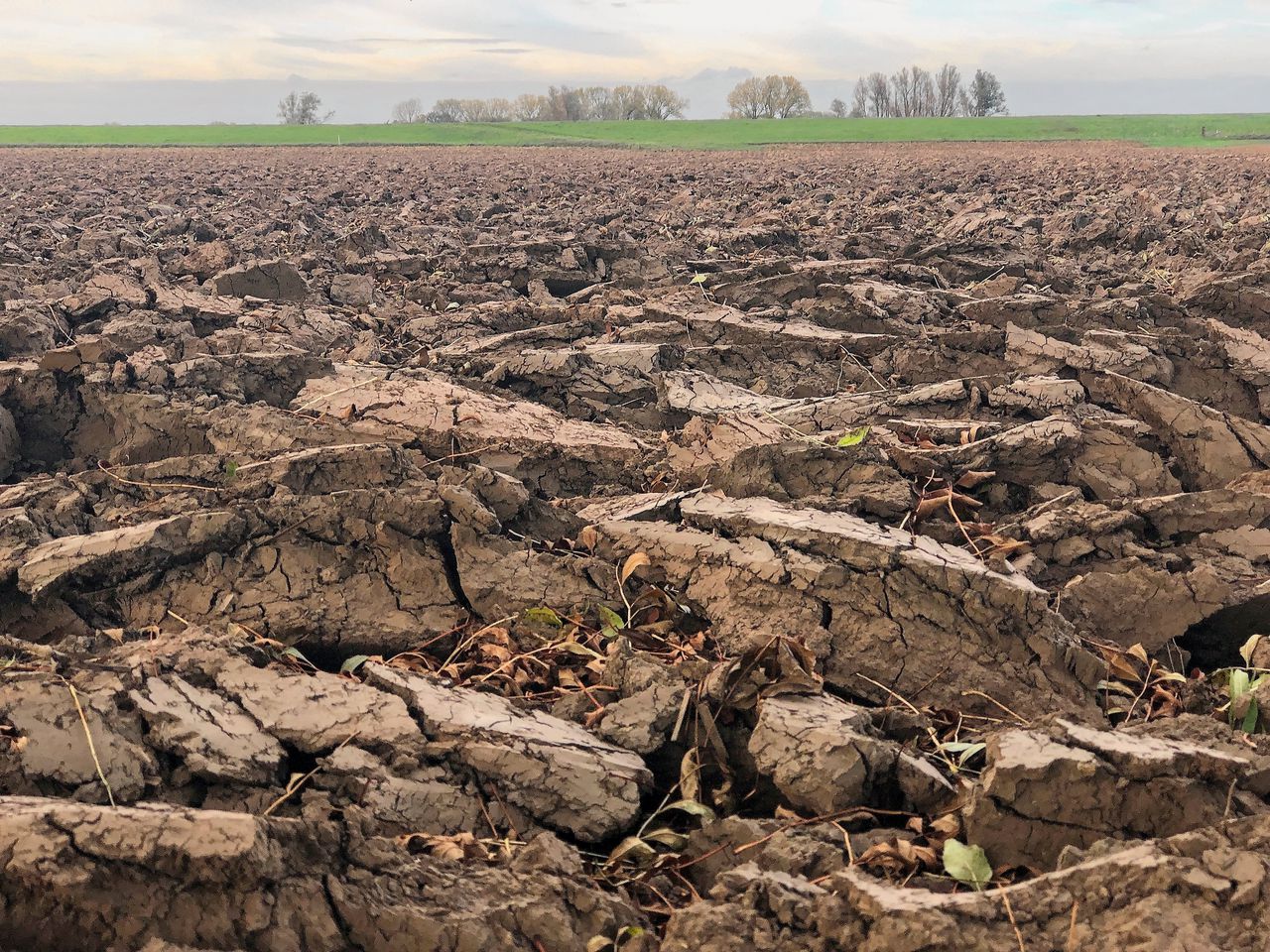 Omgeploegde rivierklei, op de achtergrond de IJsseldijk. In plaats van de geplande ‘bodemgezondheidswet’ komt er uiteindelijk een ‘bodemmonitoringswet’.