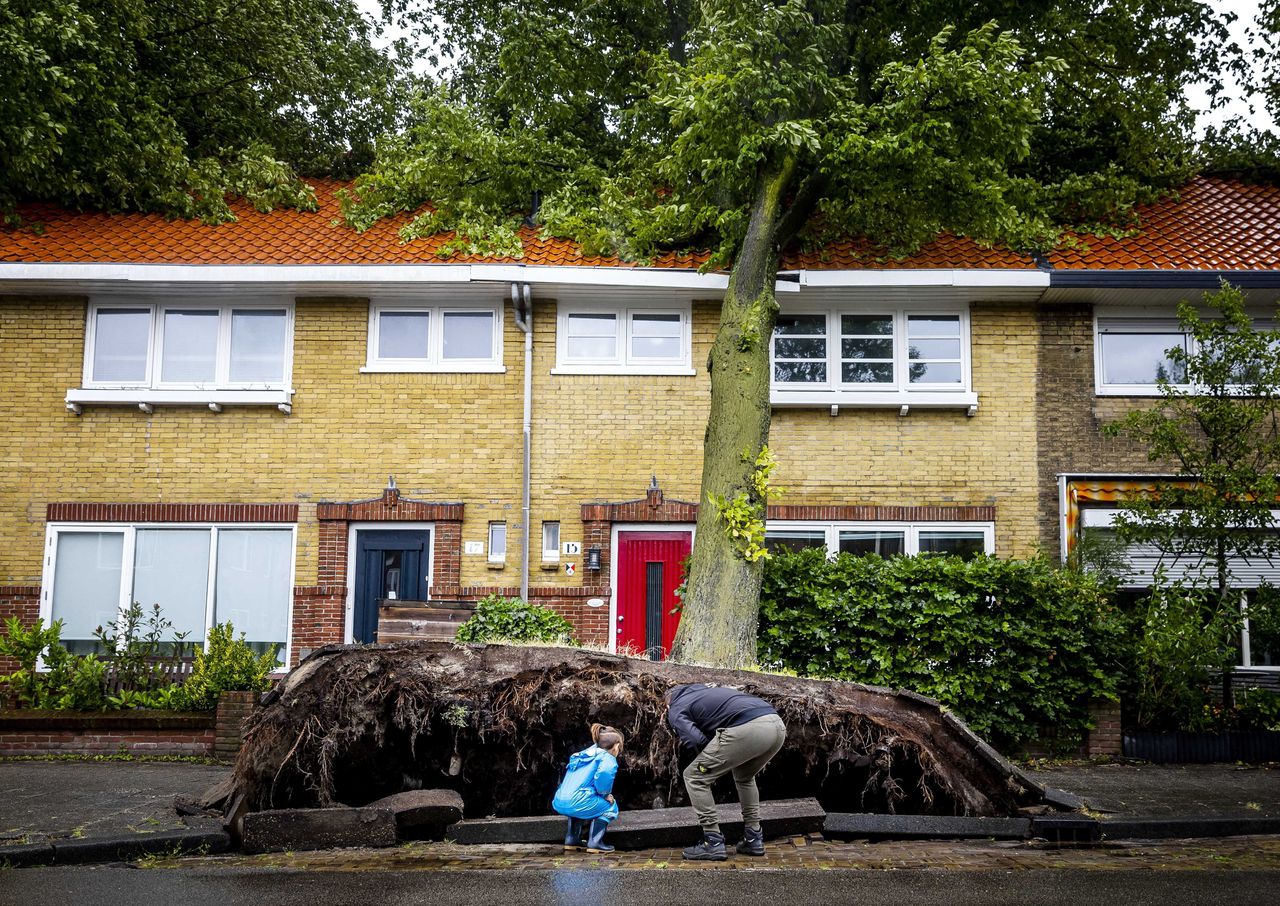 In de Haarlemse Molijnstraat vielen als gevolg van storm Poly verscheidenen bomen tegen huizen aan.