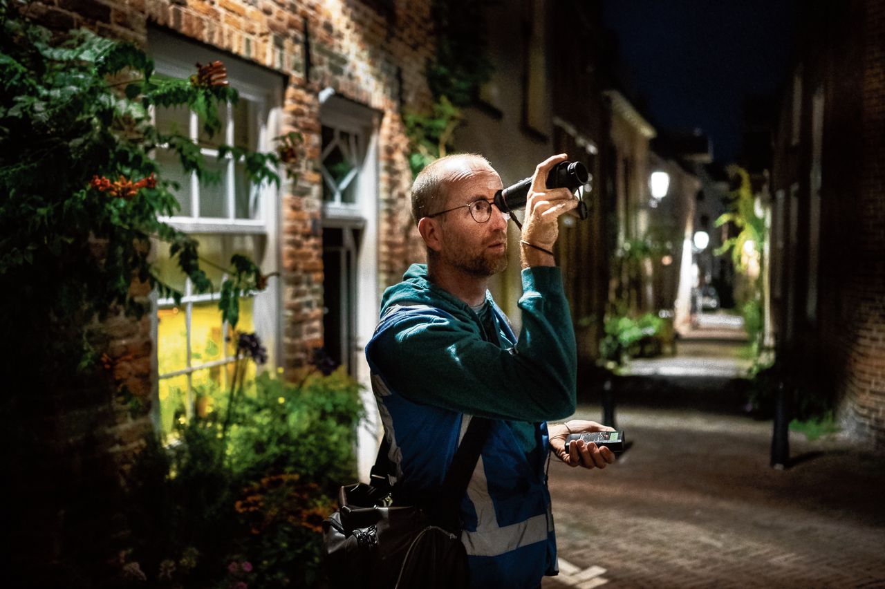 Een meervleermuis, een zeldzame vleermuis die in een rechte lijn over het water scheert.