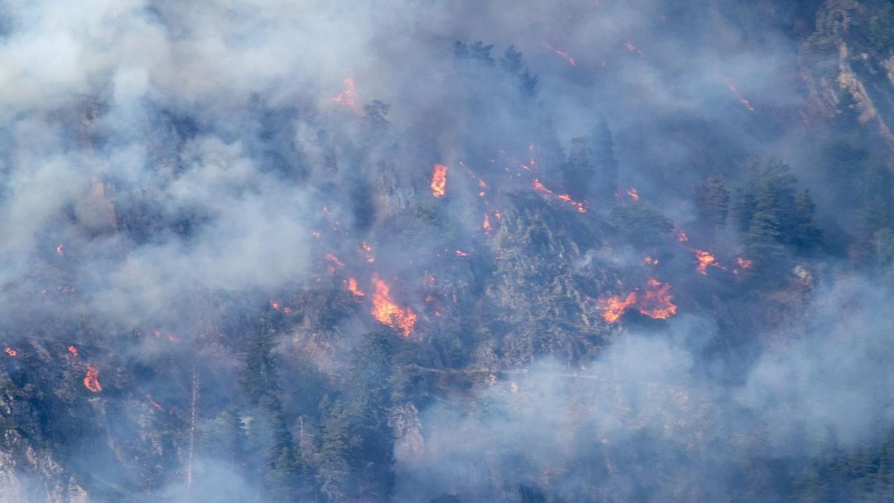 De brand brak iets voor 17.00 uur uit in de bossen bij het dorp Bitsch.