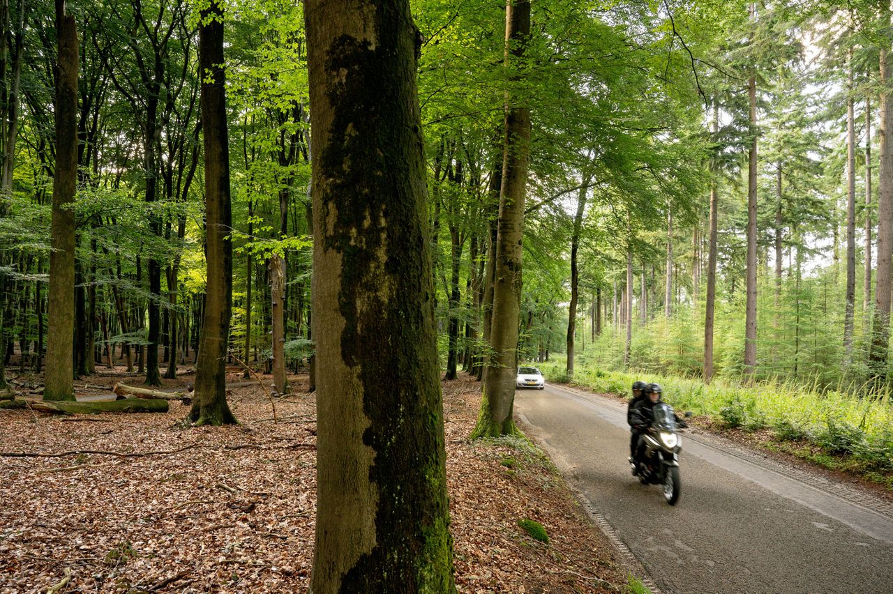 De Gortelseweg op de Veluwe verbindt de dorpjes Gortel en Vierhouten.