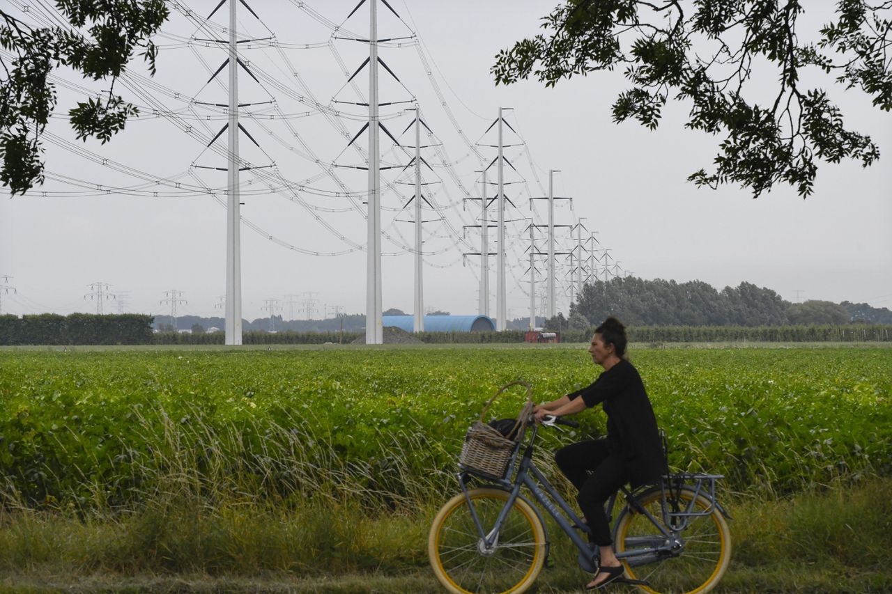 Hoogspanningsmasten van Tennet in Zeeland.