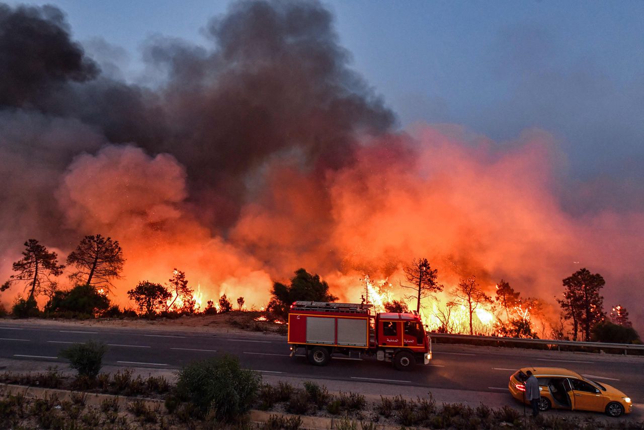 De forse hittegolf die Noord-Afrika treft , zoals hier bij de Tunesisch-Algerijnse grens, brengt hevige droogte en temperaturen tot wel 50 graden Celsius met zich mee.