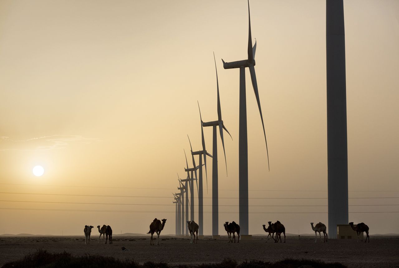 Het grootste windpark van Afrika in de bezette Westelijke Sahara.