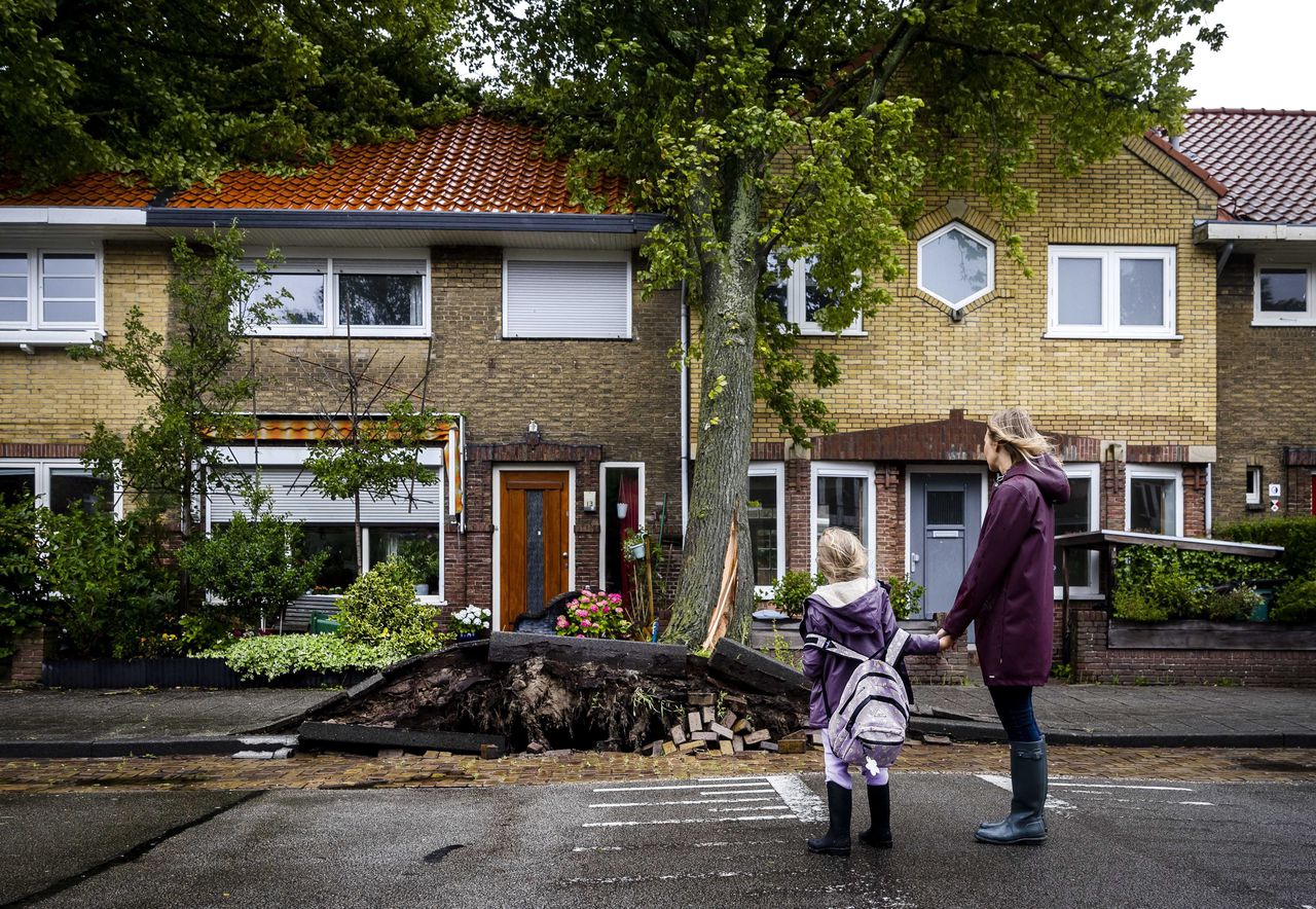 In de Haarlemse Molijnstraat zijn diverse bomen omgewaaid door storm Poly.