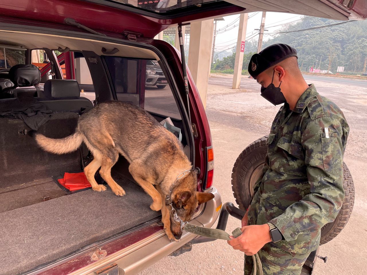 Een drugshond bij een controlepost van de politie in het district Chiang Rai, in het noorden van Thailand.