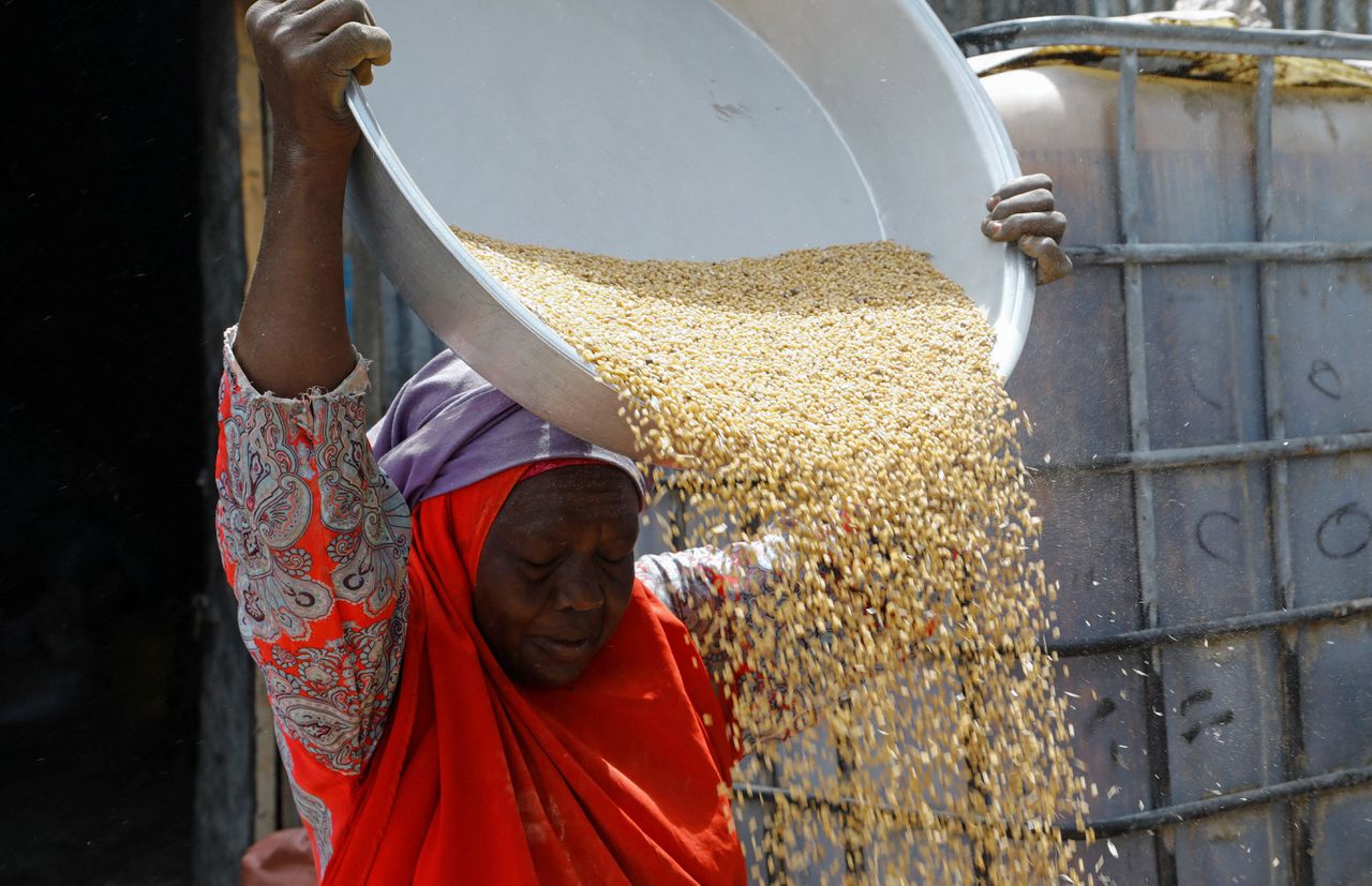 Een graanhandelaar op een markt in het Somalische Mogadishu scheidt kaf en koren bij een lading tarwe uit Oekraïne. Het einde van de graandeal heeft volgens deskundigen in Afrika maar beperkte gevolgen.