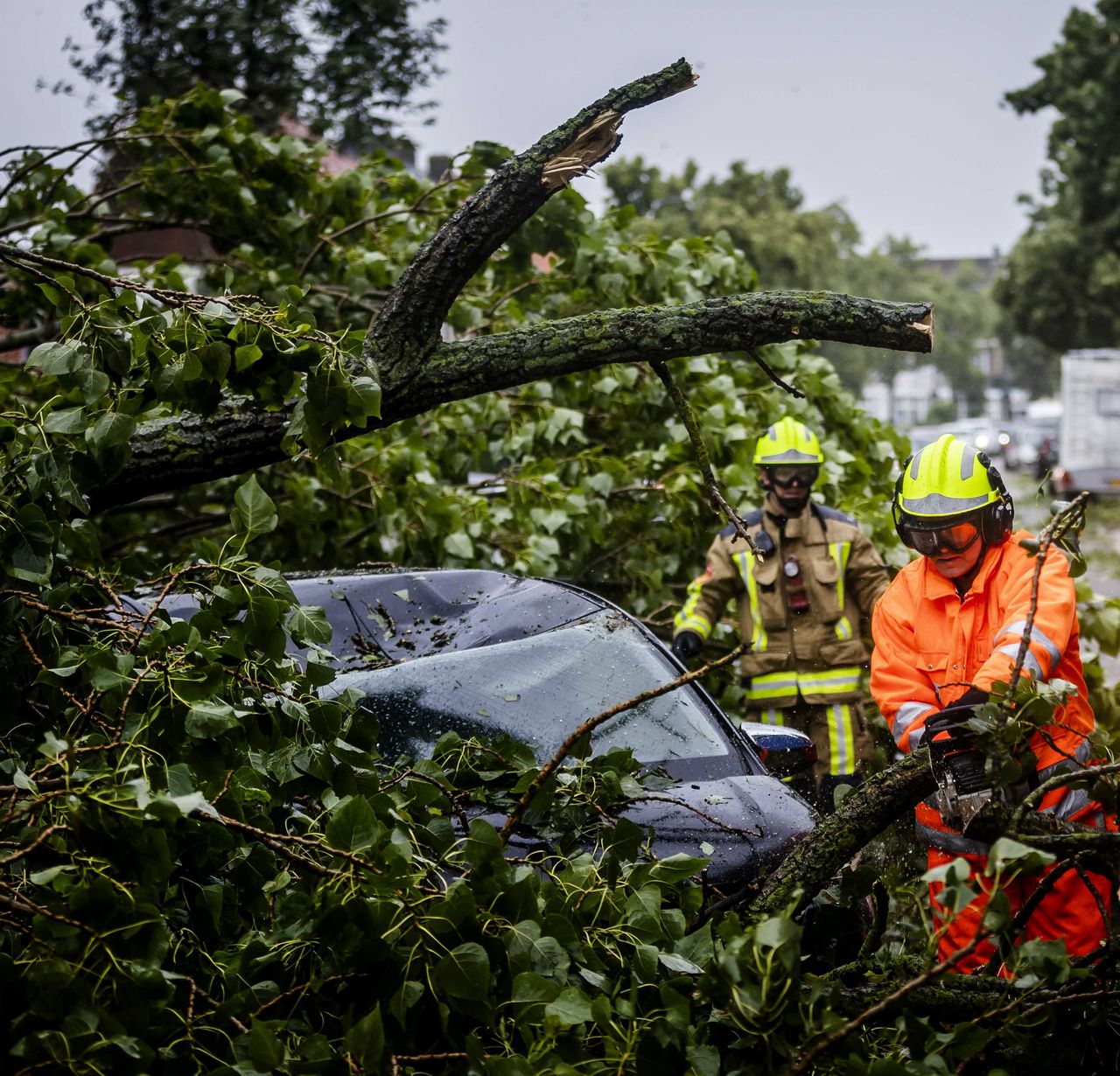 Een omgewaaide boom raakte een auto aan de Haarlemse Marnixstraat.