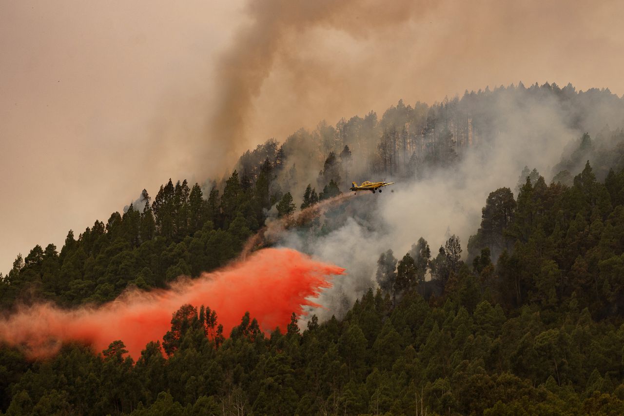 Een vliegtuig bestrijdt de bosbrand bij El Rosario op Tenerife.