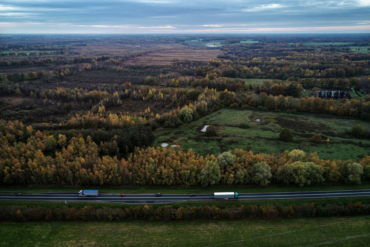 Het Overijsselse de Bergvennen is een beschermd natuurgebied.