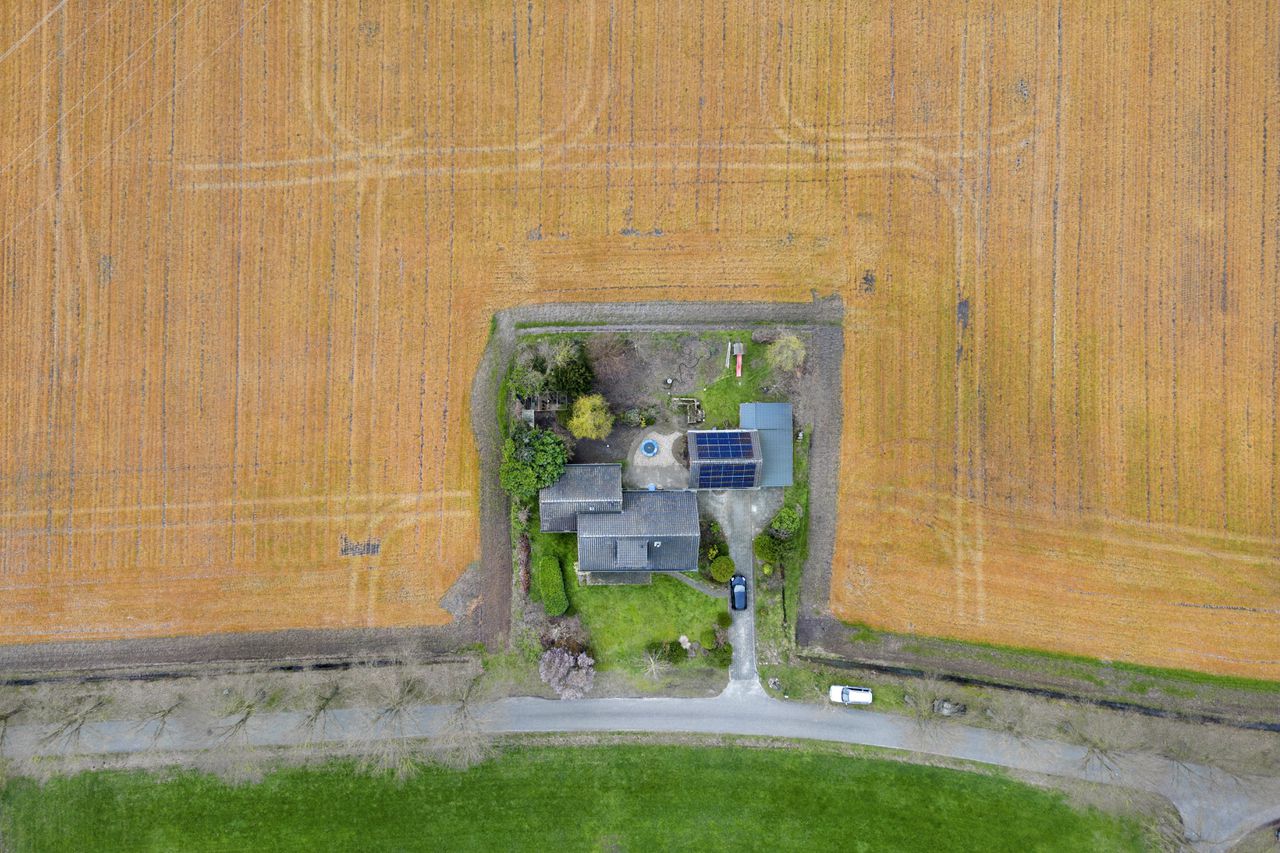 Geel-oranje akkers van een agrarisch bedrijf in het landschap. Deze kleur wordt veroorzaakt door bestrijdingsmiddel Roundup. Het wordt gebruikt om ongewilde plantengroei tegen te gaan.