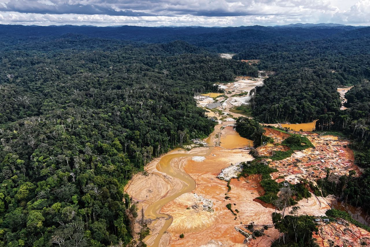 Illegale houtkap in de staat Roraima, in het noordwesten van Brazilië.