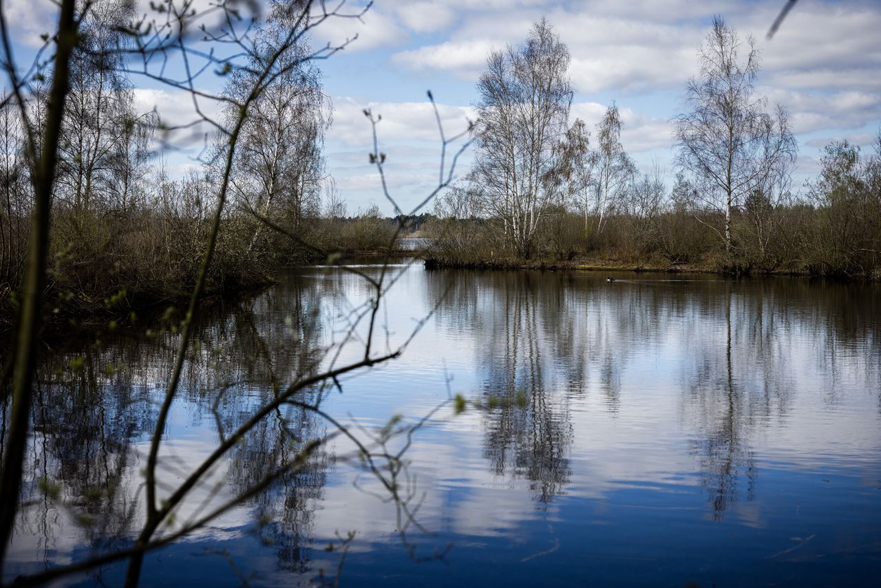 In 80 procent van de bestudeerde wateren zijn schadelijke landbouwmiddelen gevonden.