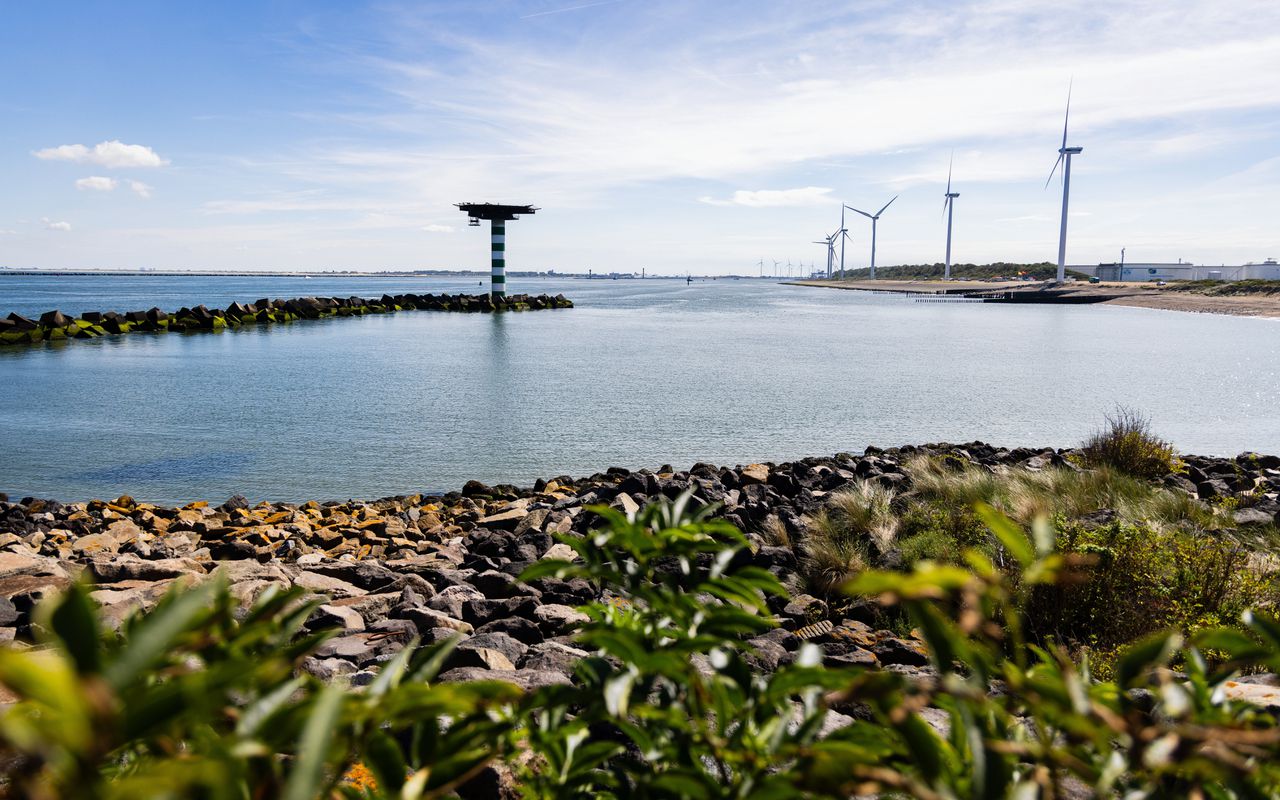 De plek in de Noordzee waar de leidingen voor het Porthos-project de zee in zouden gaan.