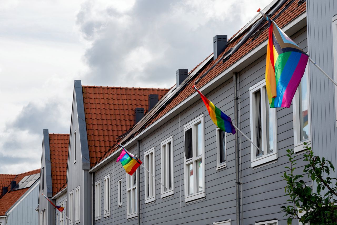 Regenboogvlaggen in de Oostzanerwerf in Amsterdam Noord.