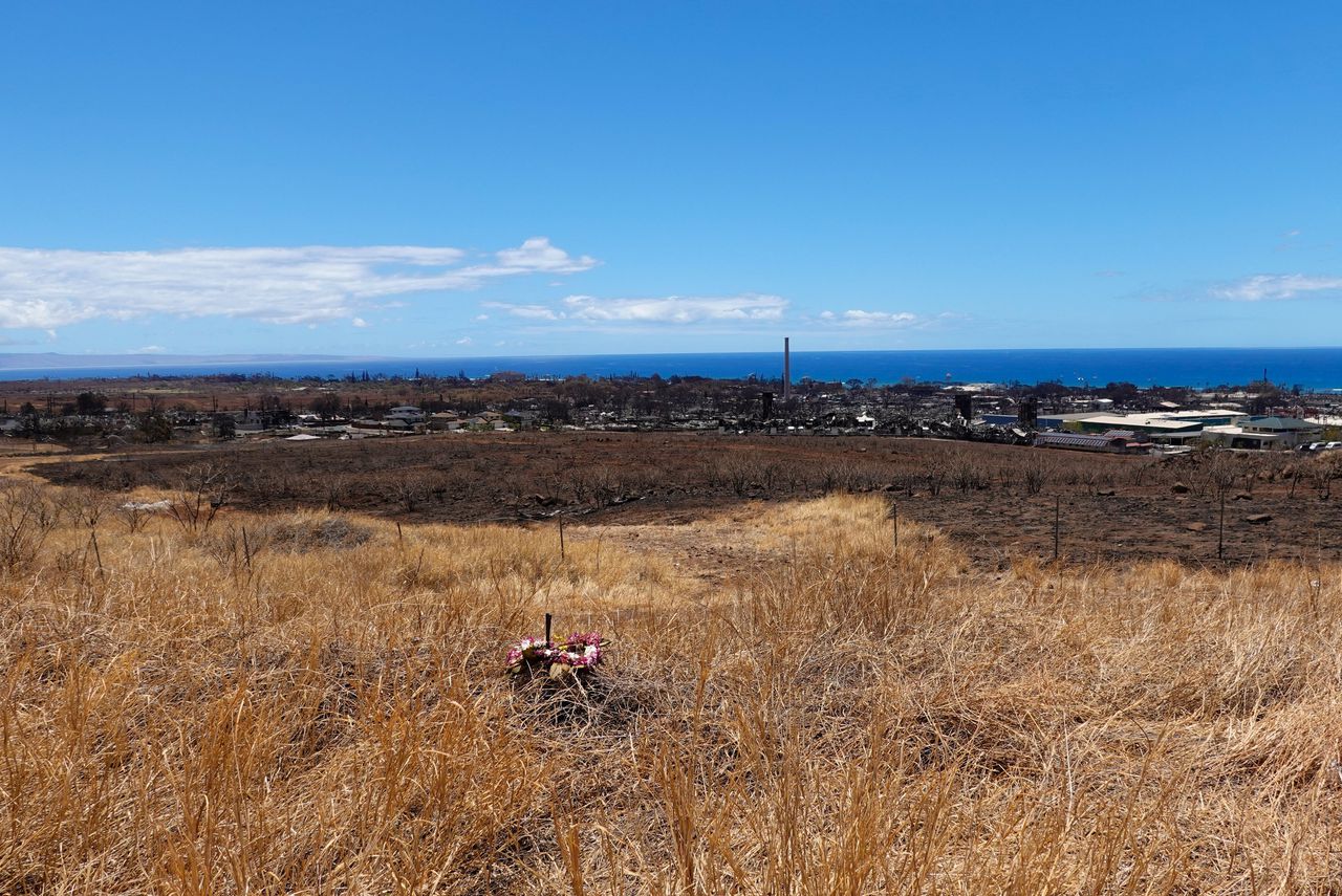 Een bloemenkrans ligt op het gras boven de verwoeste stad Lahaina, op het Hawaïaanse eiland Maui.