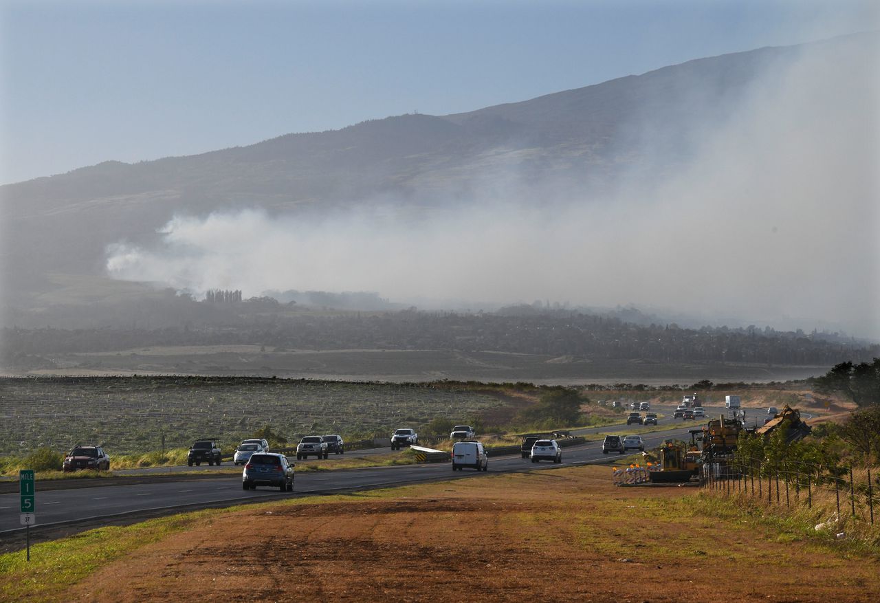 Rook waait langs een vulkaan op het eiland Maui.