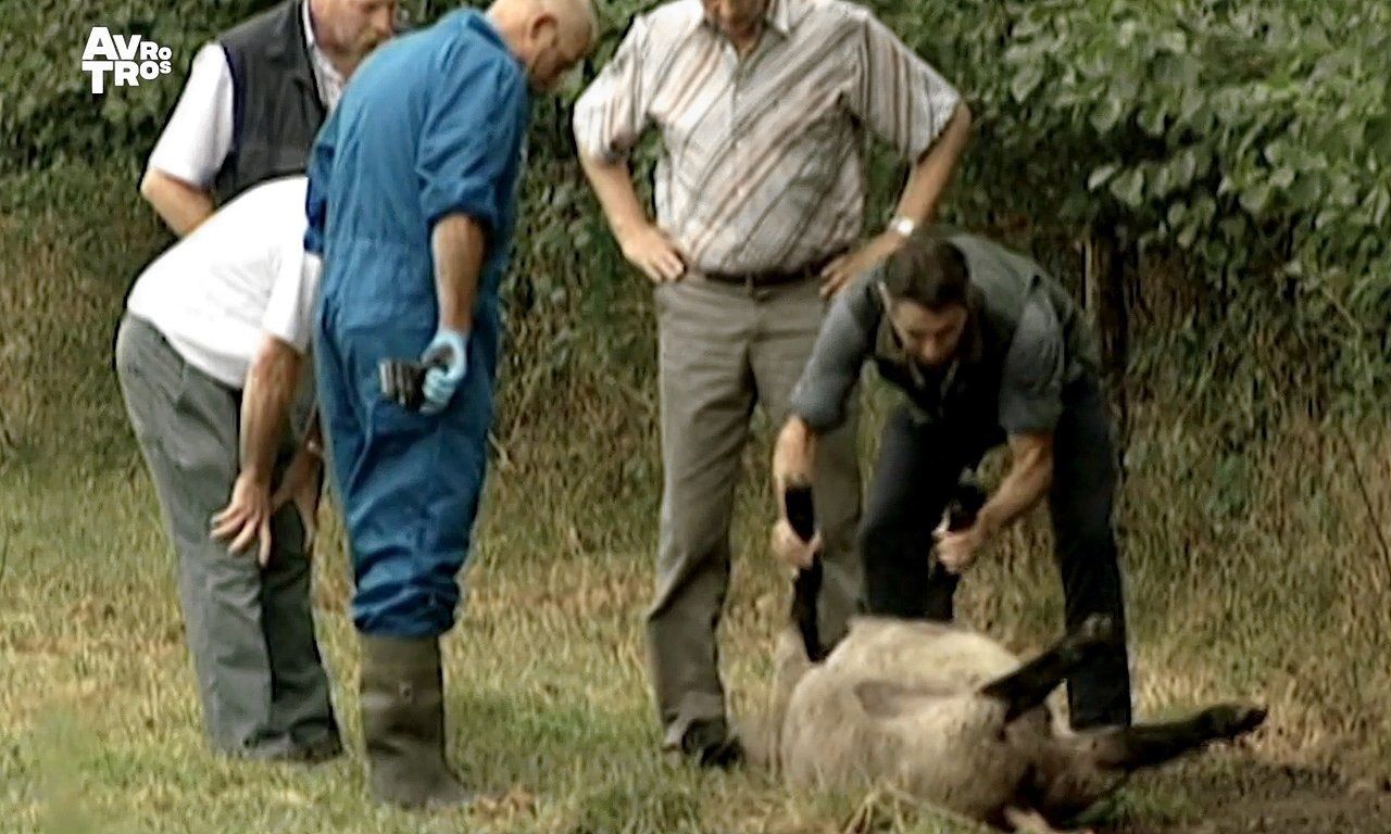 Een van de vele slachtoffers van ‘de beul van Twente’, tusen 2000 en 2005.