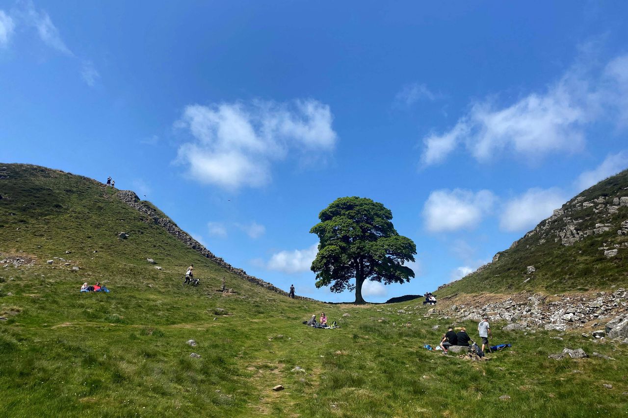 Sycamore Gap in volle glorie, in juni dit jaar.