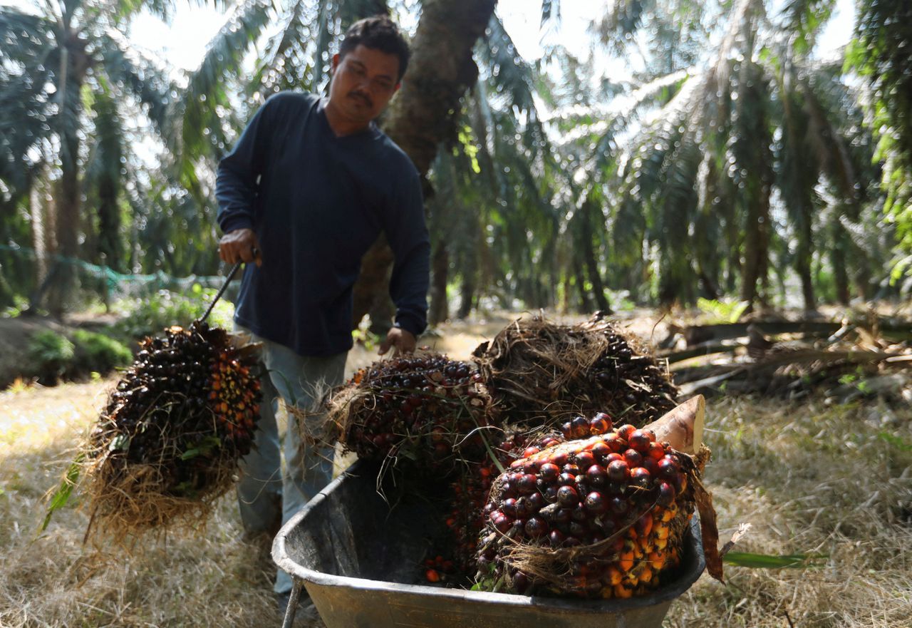 De voornaamste producten die verband houden met ontbossing zijn soja, rundsvlees, palmolie, hout, cacao en koffie.