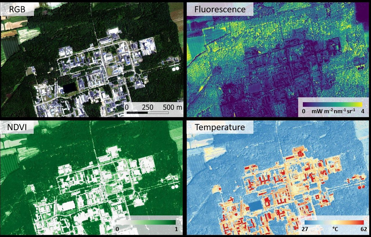 Luchtopnames van bos rond Jülich, Duitsland, vanuit een Cessna-vliegtuig op 26 juni 2019. Boven: afbeelding in ware kleur en bladgroenfluorescentie. Daaronder: NDVI en temperatuur van het landoppervlak.