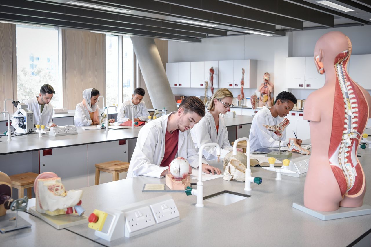 Sinds 2010 is er een wettelijke regeling die het mogelijk maakt studenten geneeskunde, tandheelkunde en diergeneeskunde de toegang tot de opleiding te ontzeggen. De studenten op de foto komen niet voor in het artikel. Foto Getty Images