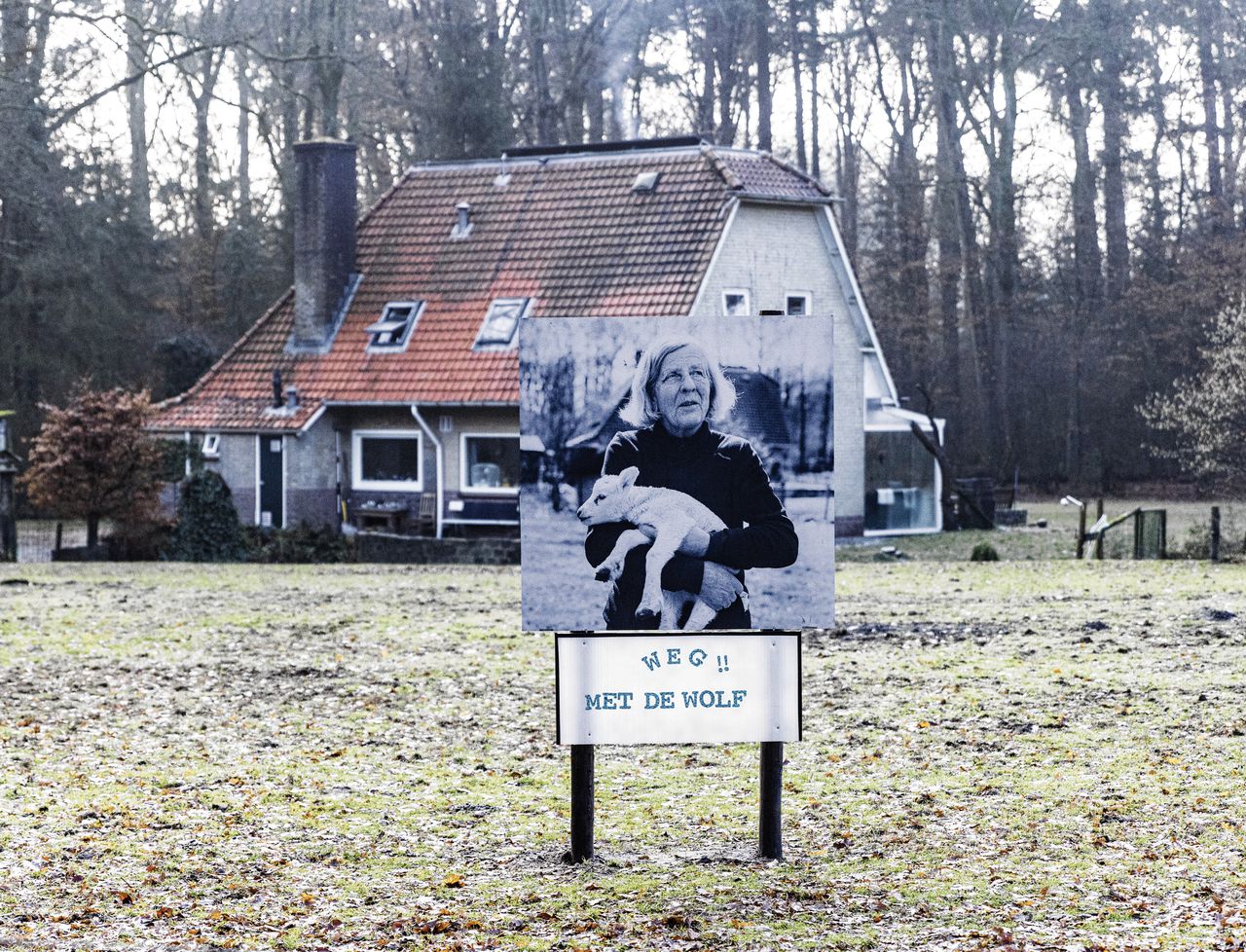 Protest tegen de wolf op de Veluwe bij Apeldoorn.