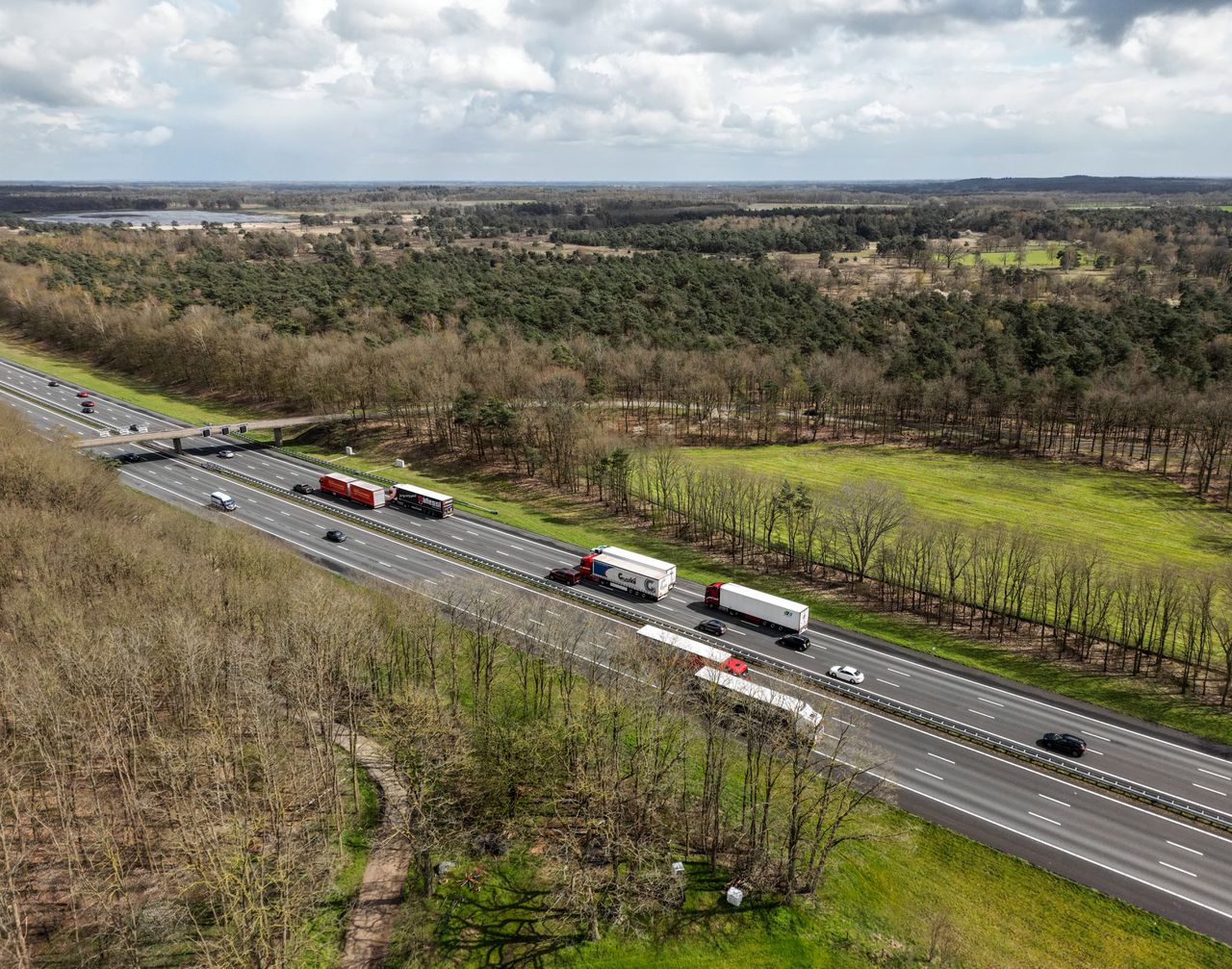 Het onderzoek werd uitgevoerd in opdracht van het Mesdag Zuivelfonds, dat eerder de nauwkeurigheid van de RIVM-modellen nog in twijfel getrokken had.