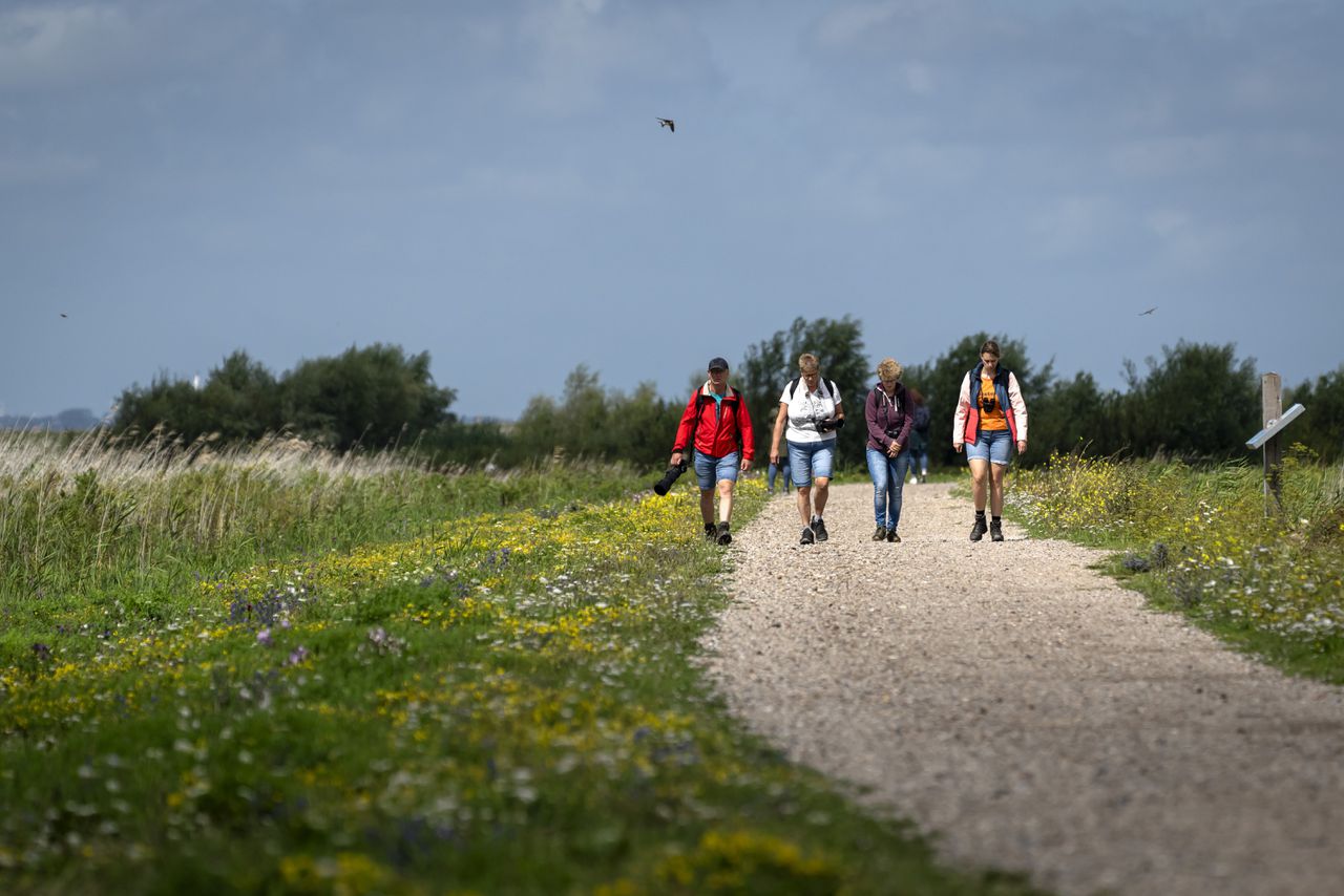 Wandelaars op de Marker Wadden.