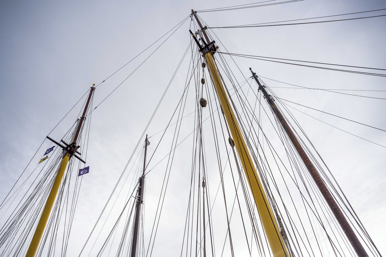 Zeilschepen in de haven van Harlingen. Het toezicht op de veiligheid van deze schepen is niet op orde, concludeerde de Onderzoeksraad voor Veiligheid deze week.