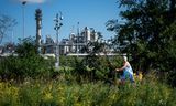 De Chemours-fabriek in Dordrecht, een van de gemeenten die de rechtszaak tegen het bedrijf aanspanden.