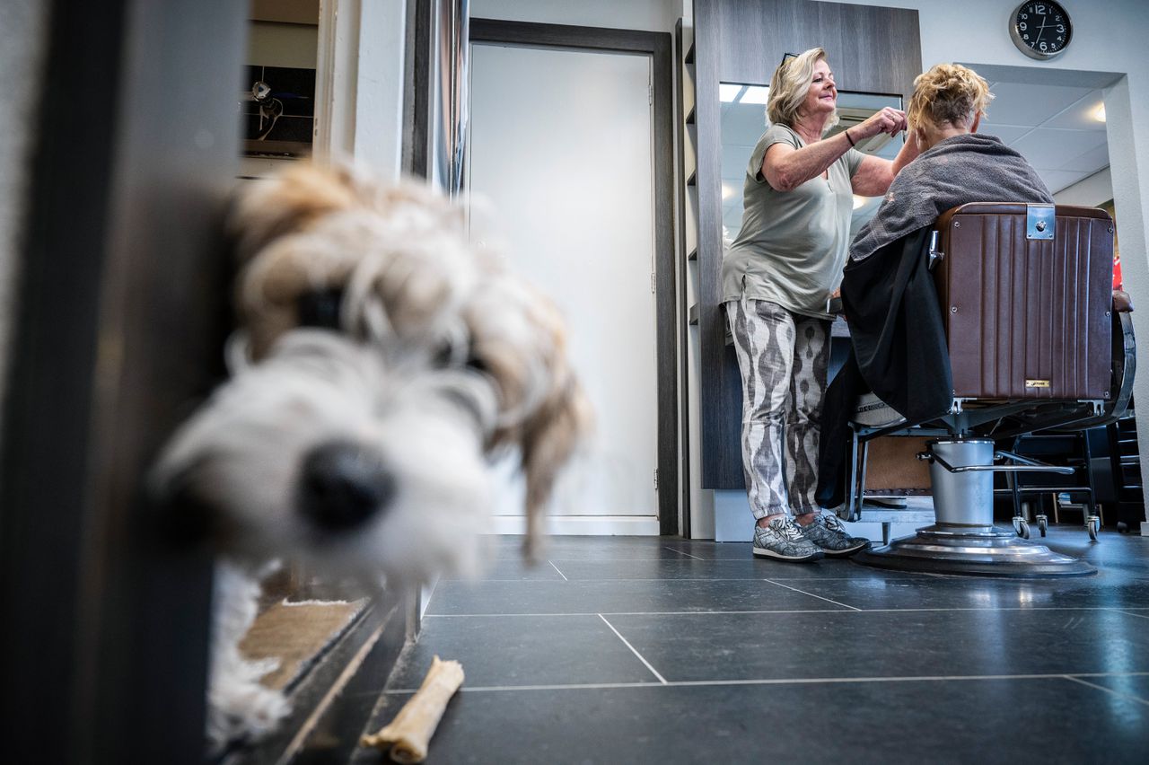 Hetty Huismans-Perdon (65), kapsalon Perdon in Groningen en Jack Russel Pip.