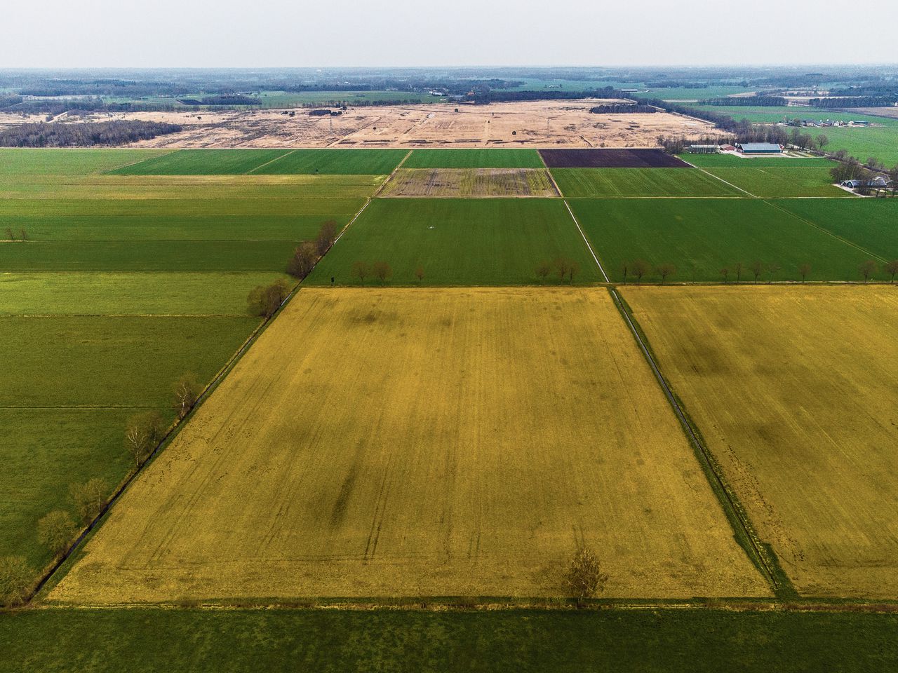 Een akker in de buurt van het Wierdense Veld is oranje gekleurd nadat het is bespoten met de onkruidbestrijder glyfosaat.