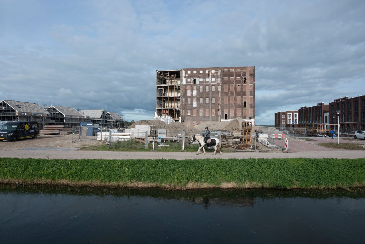 Nieuwbouwproject Brokking aan de Zaan, 2020.