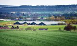 Een megastallencomplex in Groesbeek. 