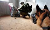 Nederlandse honden in dienst van leger Israël