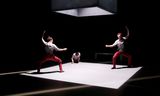 ‘De Panter’, choreografie van Dunja Jocic 