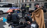 De arrestatie van Sam Schwencke tijdens een klimaatdemonstratie in februari in Den Haag.