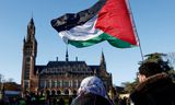 Demonstranten met een Palestijnse vlag bij het Internationaal Gerechtshof in Den Haag, op de dag van de tussenuitspraak eind januari.