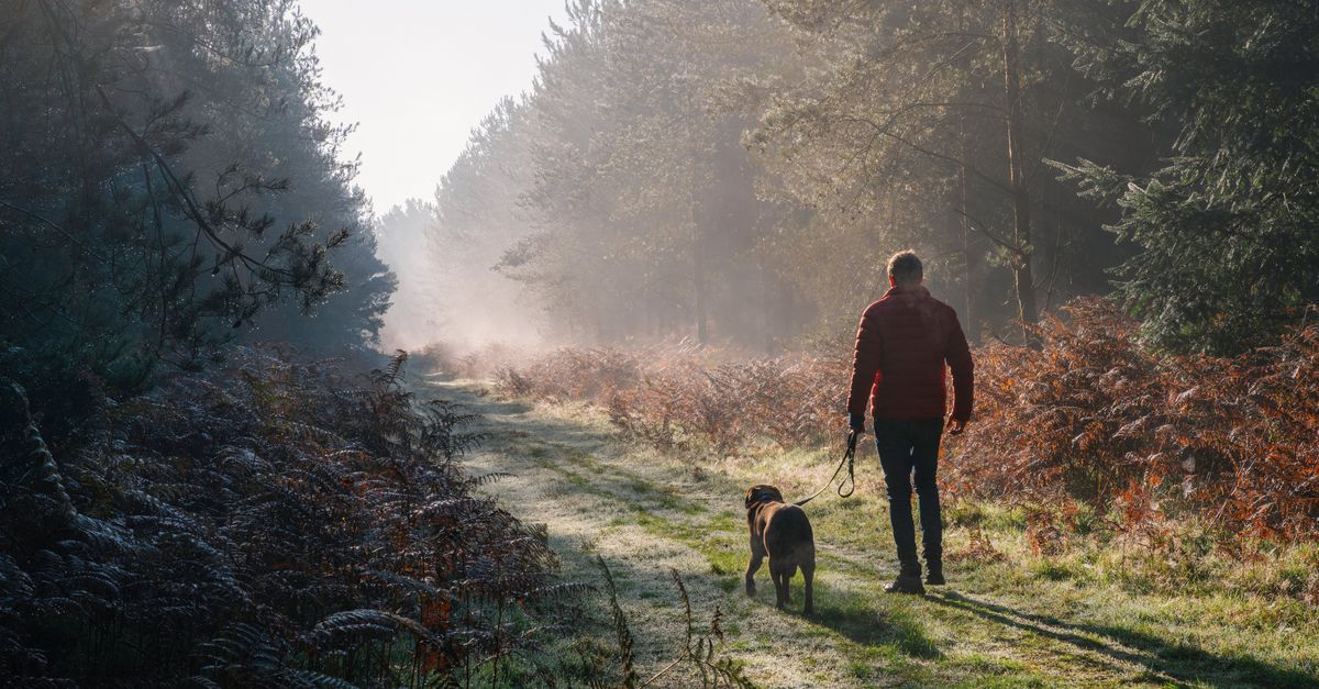 Wandelen is soms echt het beste medicijn, vinden artsen