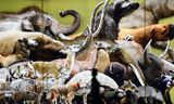 Megafauna uit Amerika op ware grootte bij een tentoonstelling in de Duitse stad Karlsruhe. 