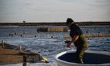 Een visser in de Mar Menor, Spanje. In 2019 werd een grote demonstratie gehouden tegen de achteruitgang van de waterkwaliteit in de lagune.