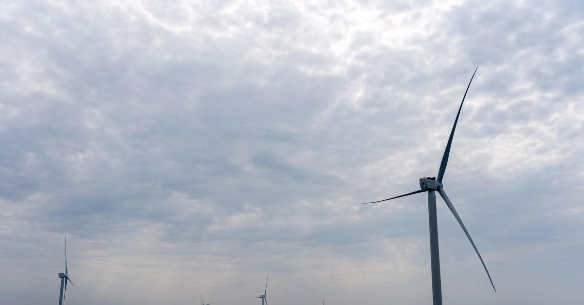 Tegenvaller voor kabinet: Eneco trekt zich terug uit bouw grootste windmolenpark op Noordzee