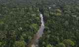 Het Amazonewoud in de Braziliaanse deelstaat Pará.