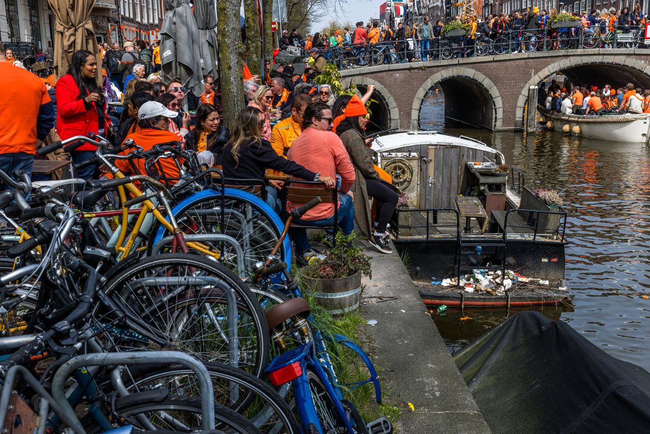Meerkoeten in Amsterdam: dobberend in een oranje polonaise