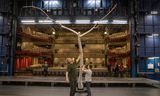 Theatertechnici pakken het decor in van 'Wachten op Godot' door Het Nationale Theater, het gezelschap maakt ook voorstellingen die zo zijn gemonteerd dat ze ook langs kleinere steden kunnen toeren.