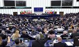 Voorstanders van de wet waren opgelucht dat het Europees Parlement woensdag vóór stemde. De afgelopen maanden was het even spannend of de wet het zou halen, na kritiek van lidstaten. 
